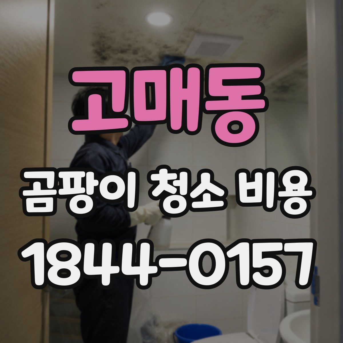고매동 곰팡이 청소 비용