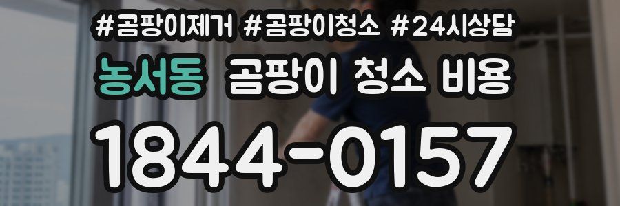 농서동 곰팡이 청소 비용