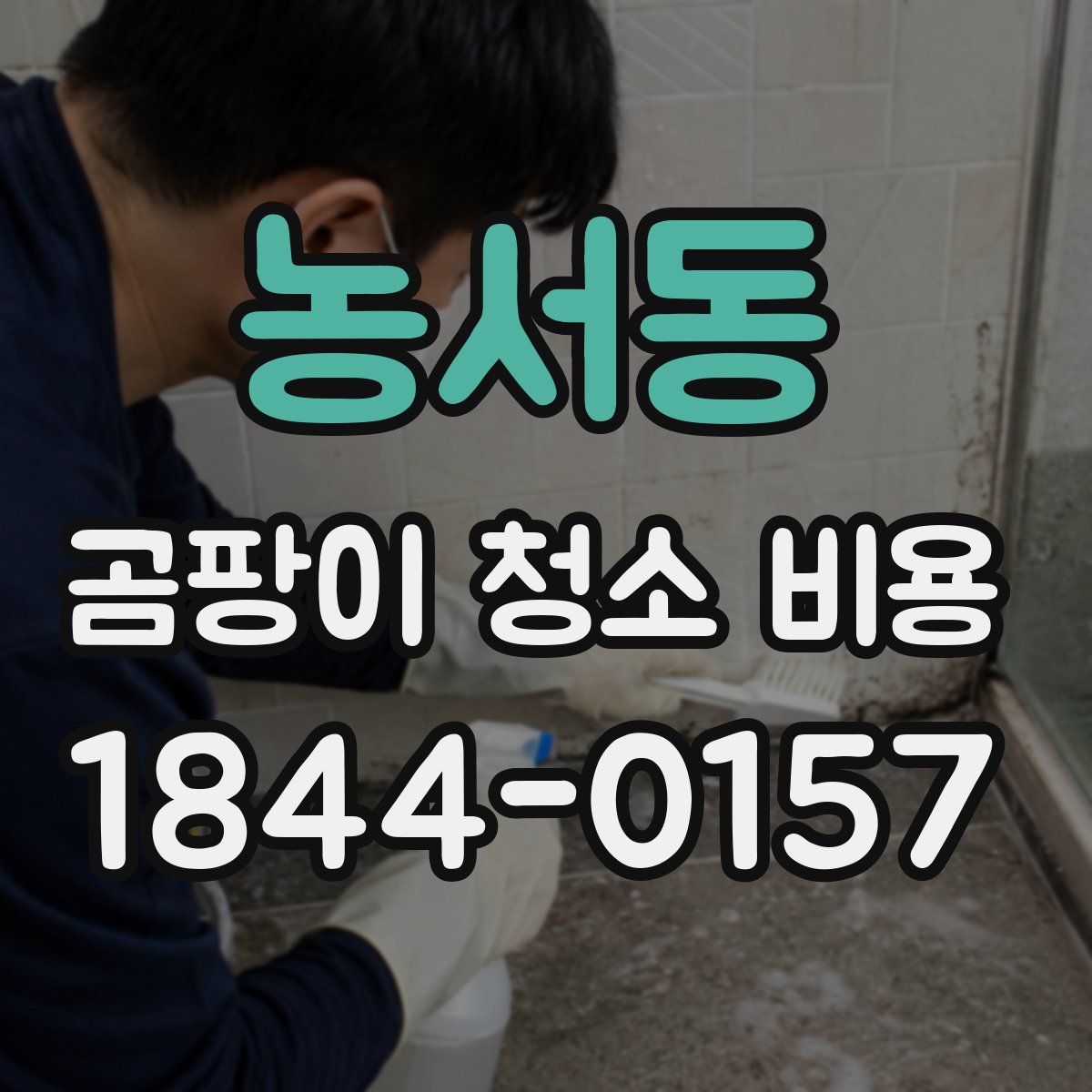 농서동 곰팡이 청소 비용