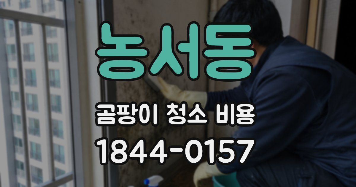 농서동 곰팡이 청소 비용