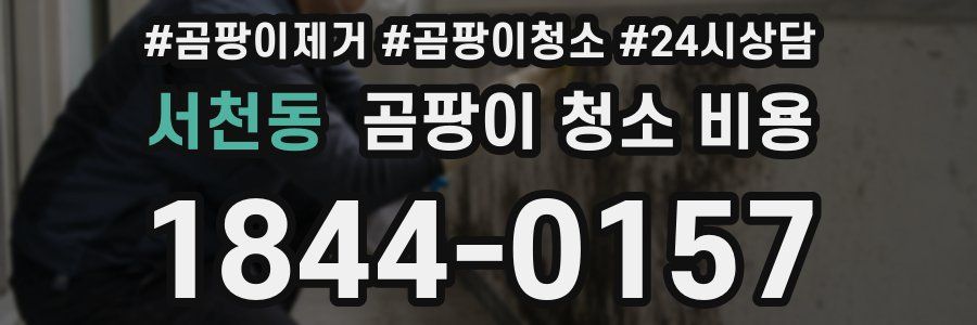 서천동 곰팡이 청소 비용