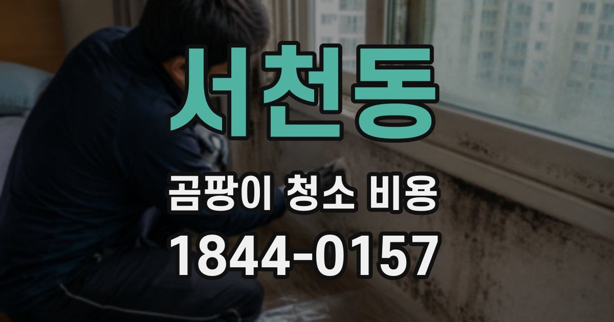 서천동 곰팡이 청소 비용