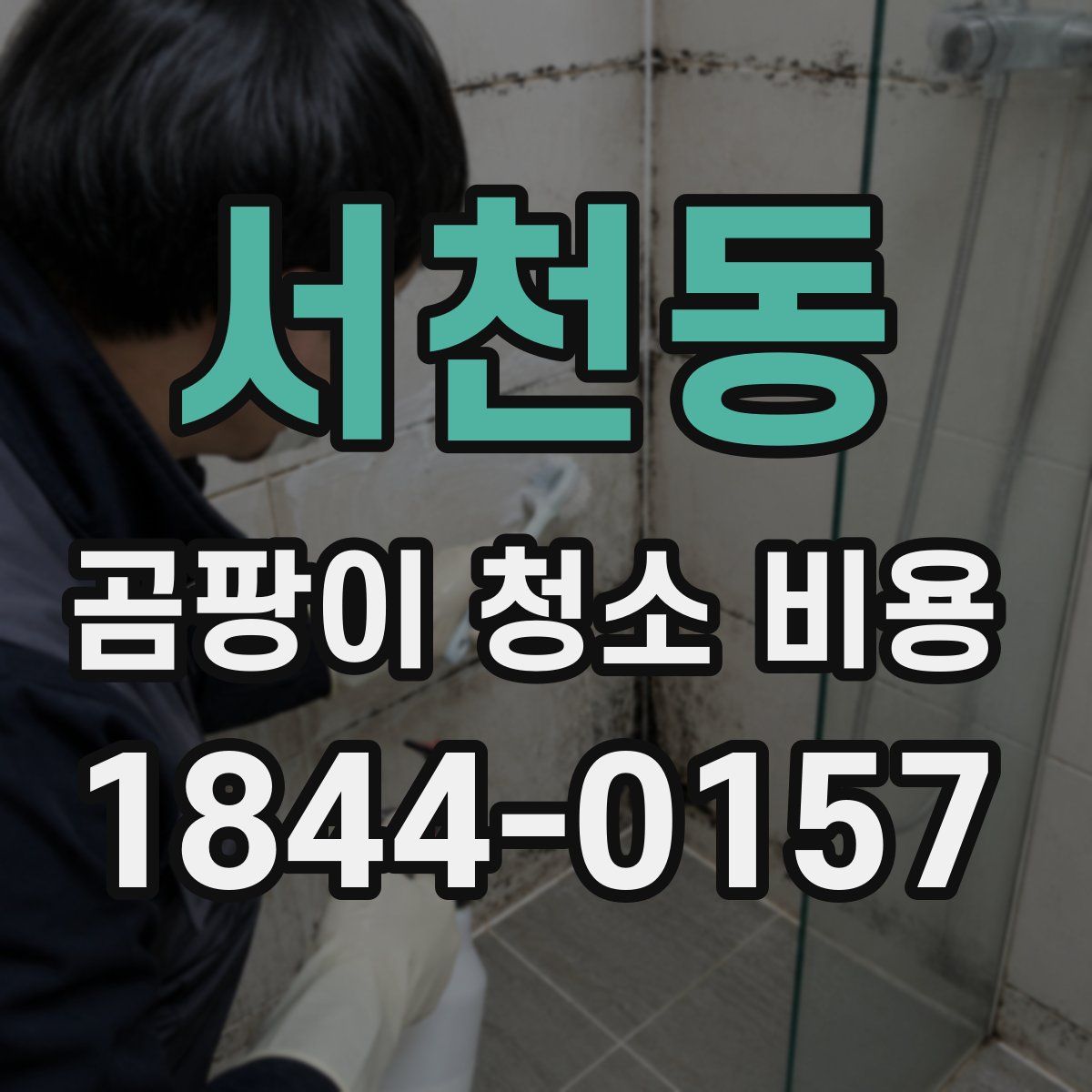 서천동 곰팡이 청소 비용