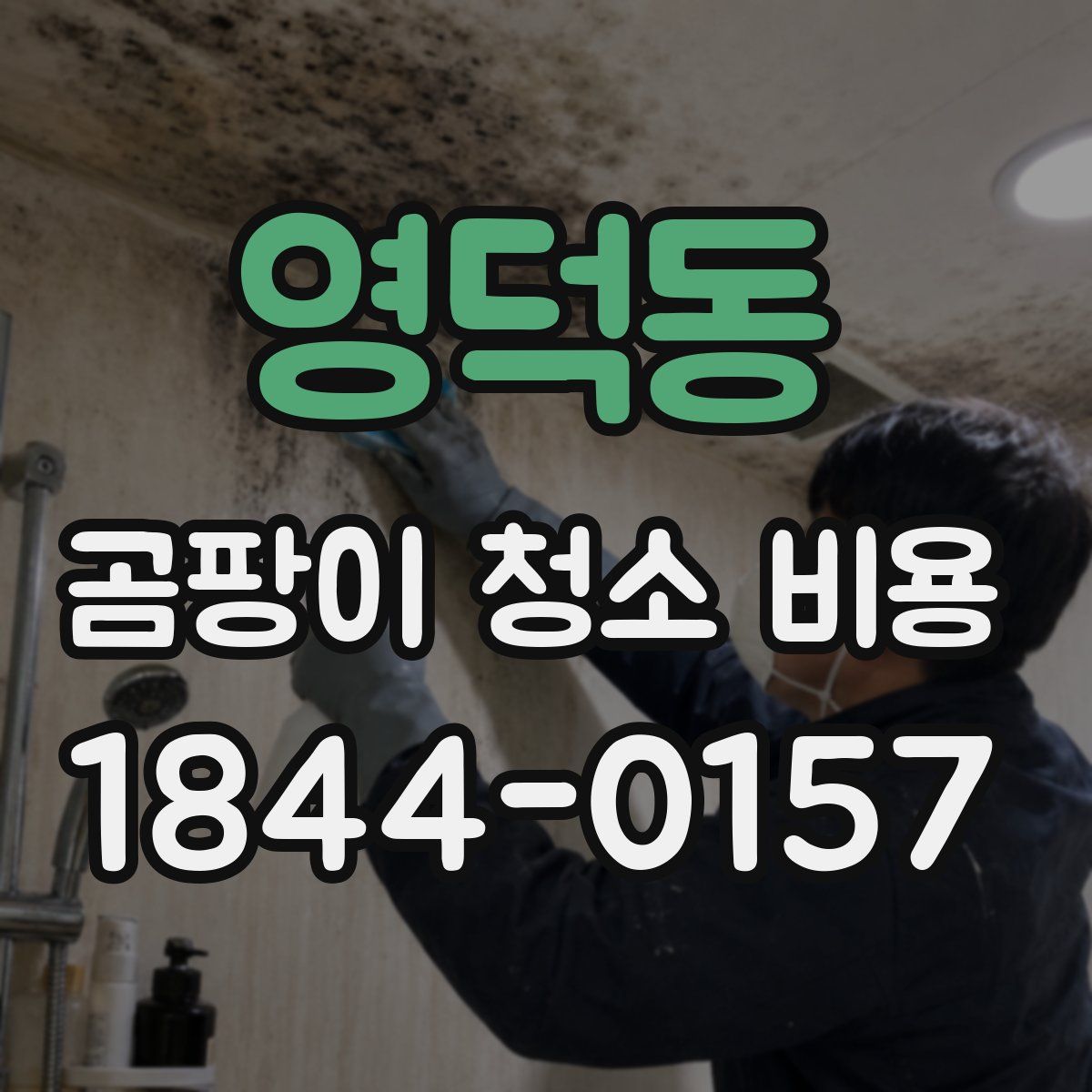 영덕동 곰팡이 청소 비용