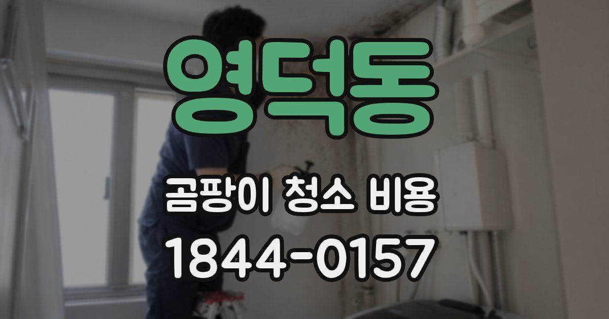 영덕동 곰팡이 청소 비용