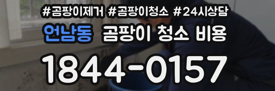 언남동 곰팡이 청소 비용