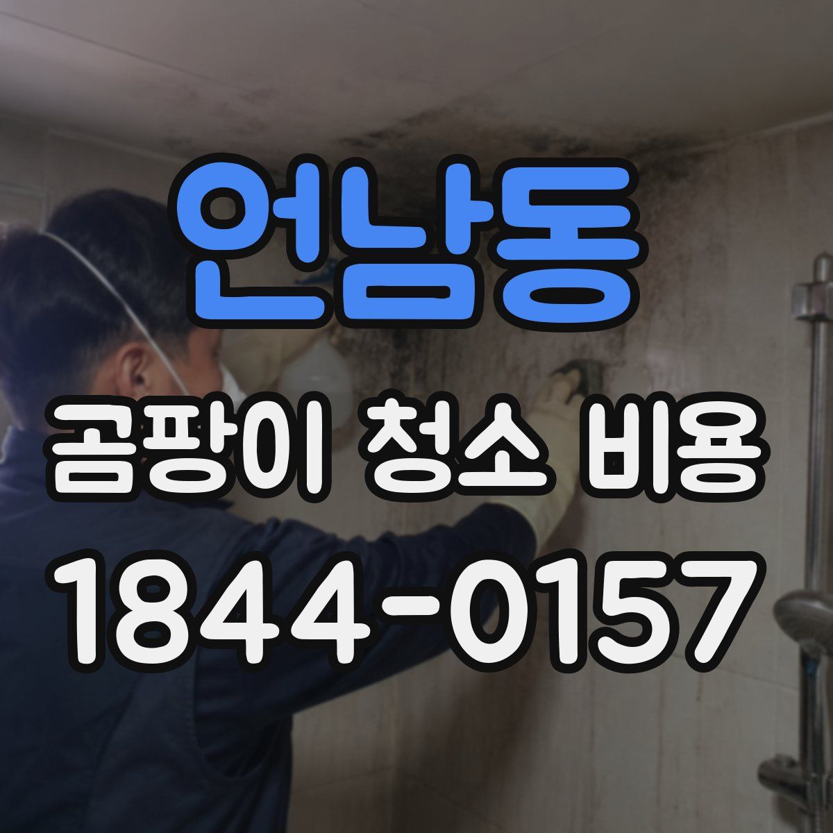 언남동 곰팡이 청소 비용