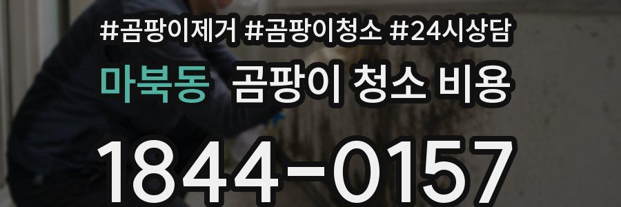 마북동 곰팡이 청소 비용