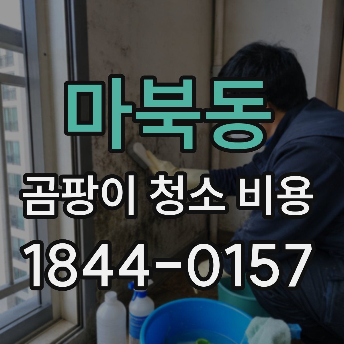마북동 곰팡이 청소 비용