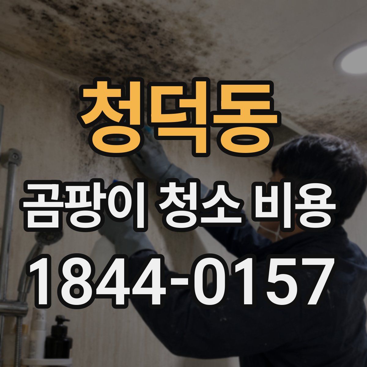 청덕동 곰팡이 청소 비용
