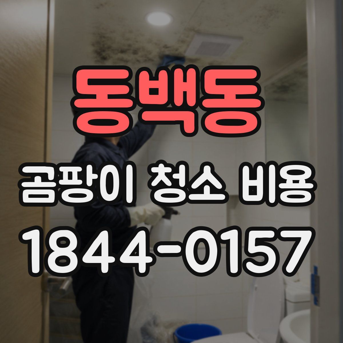 동백동 곰팡이 청소 비용