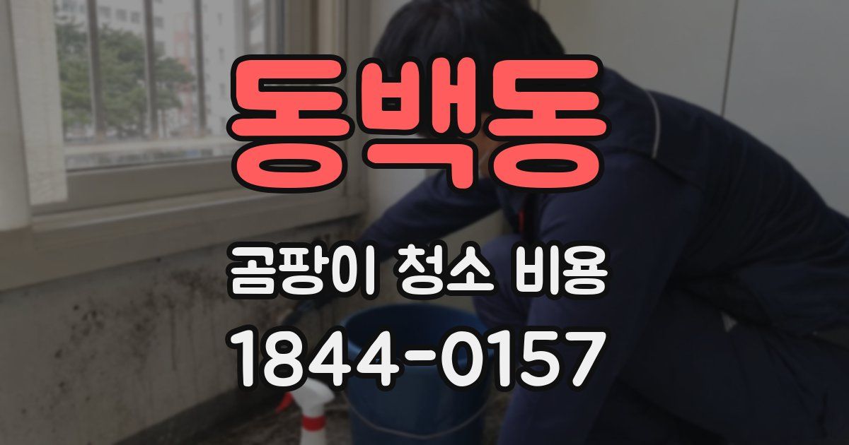 동백동 곰팡이 청소 비용