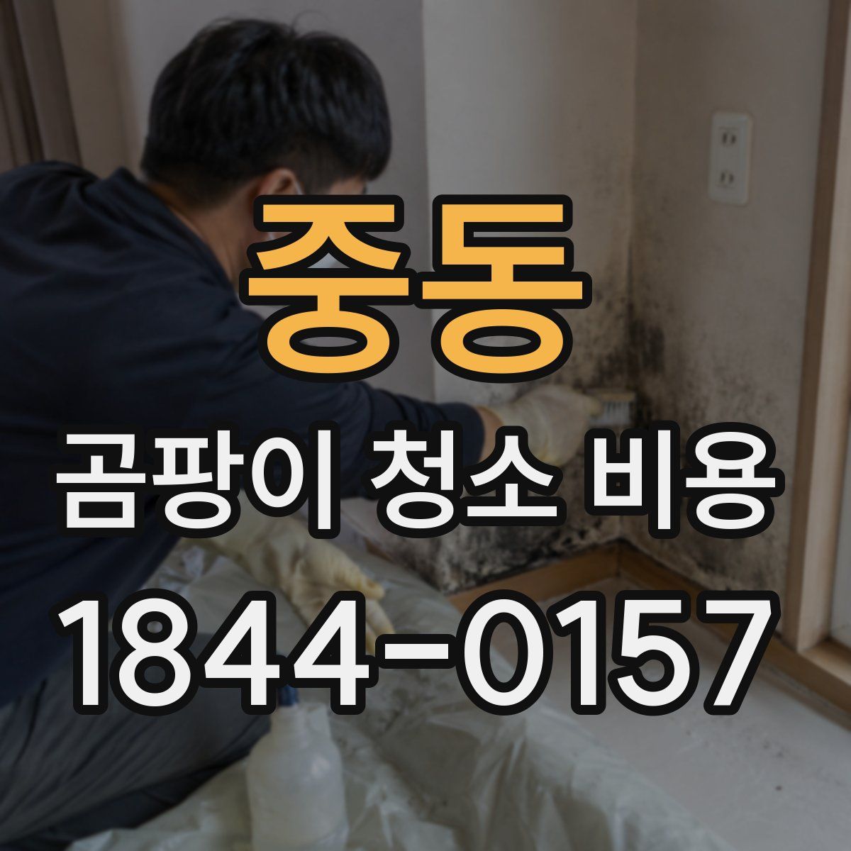 중동 곰팡이 청소 비용