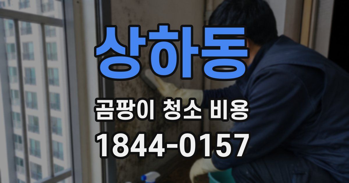 상하동 곰팡이 청소 비용