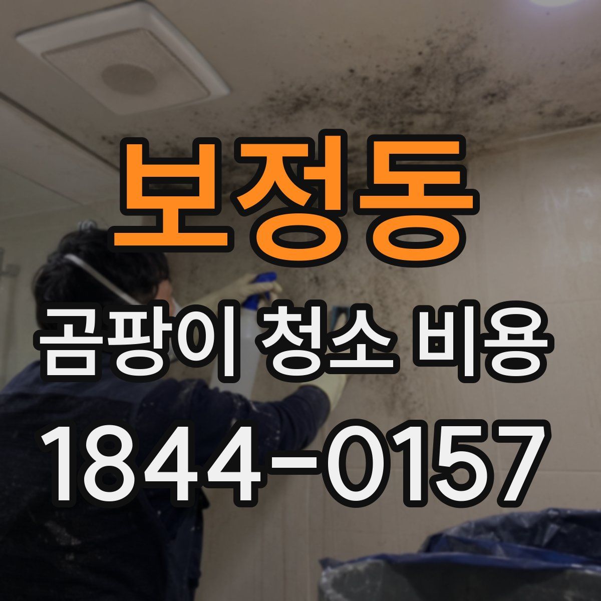 보정동 곰팡이 청소 비용