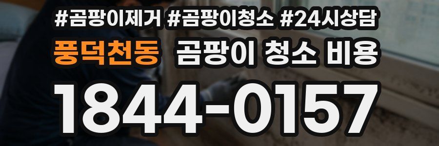 풍덕천동 곰팡이 청소 비용