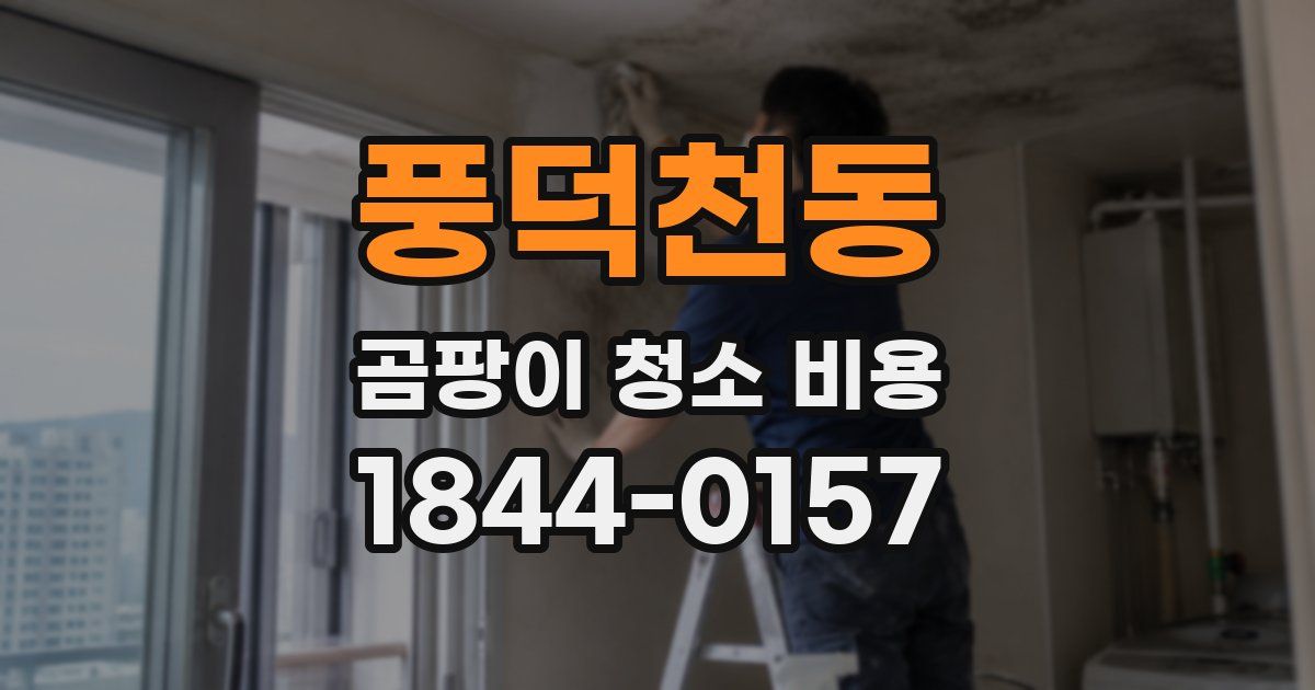풍덕천동 곰팡이 청소 비용