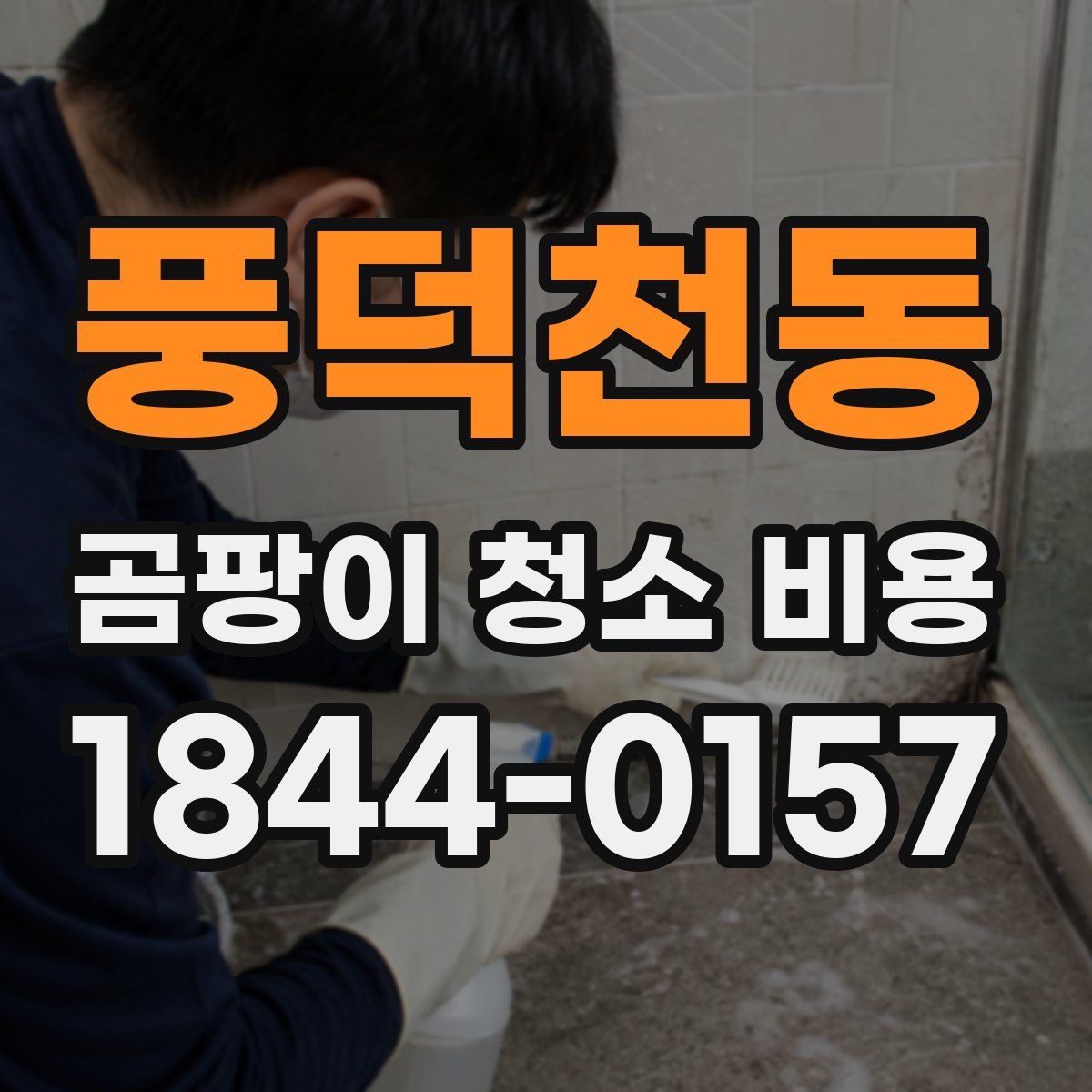 풍덕천동 곰팡이 청소 비용