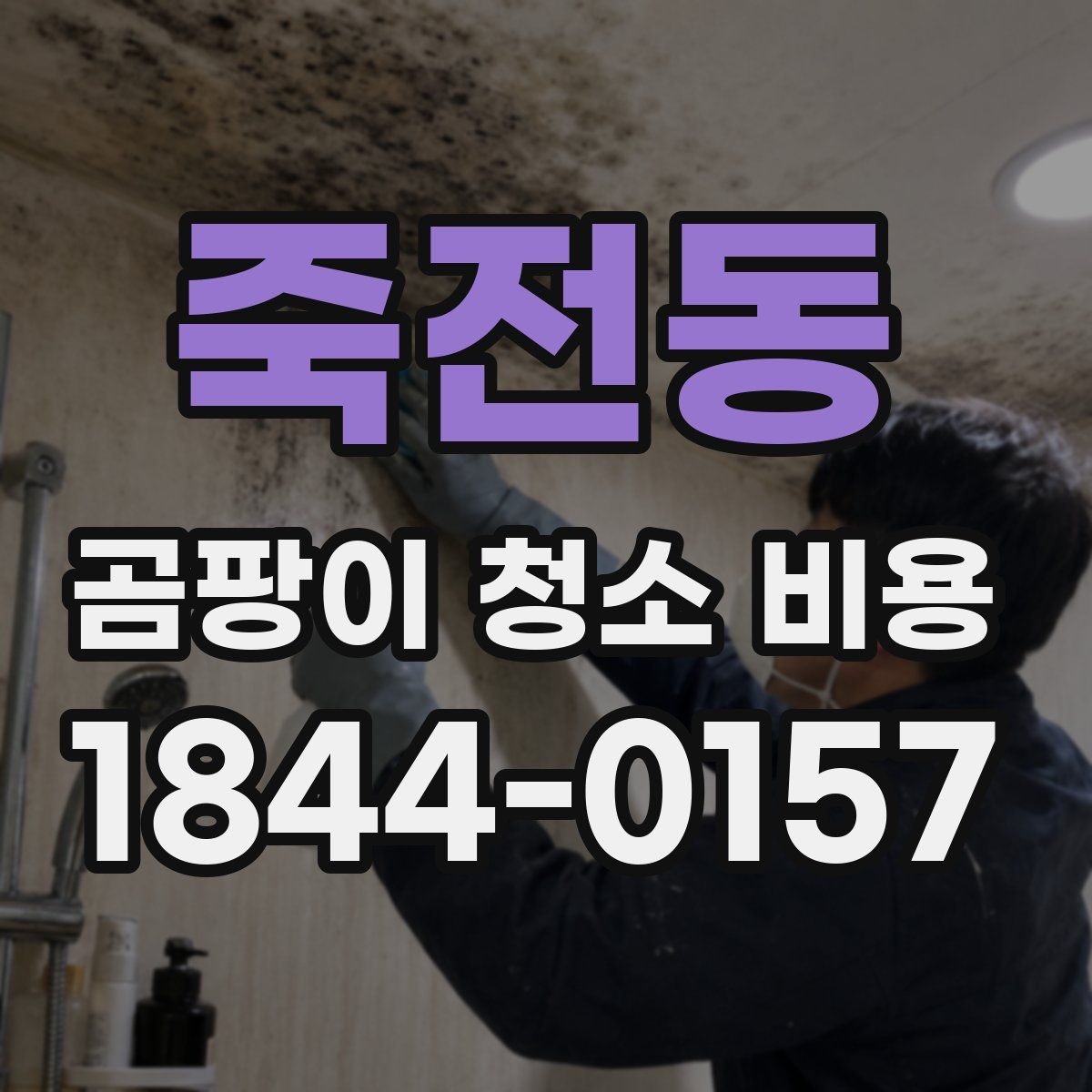 죽전동 곰팡이 청소 비용
