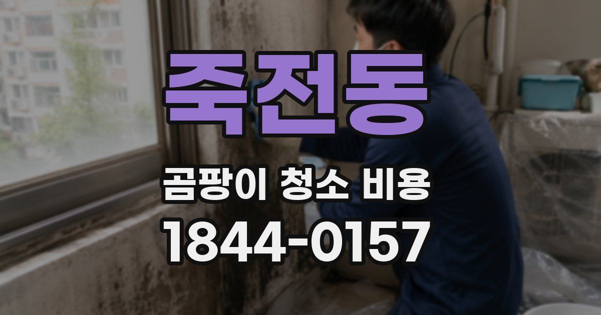 죽전동 곰팡이 청소 비용
