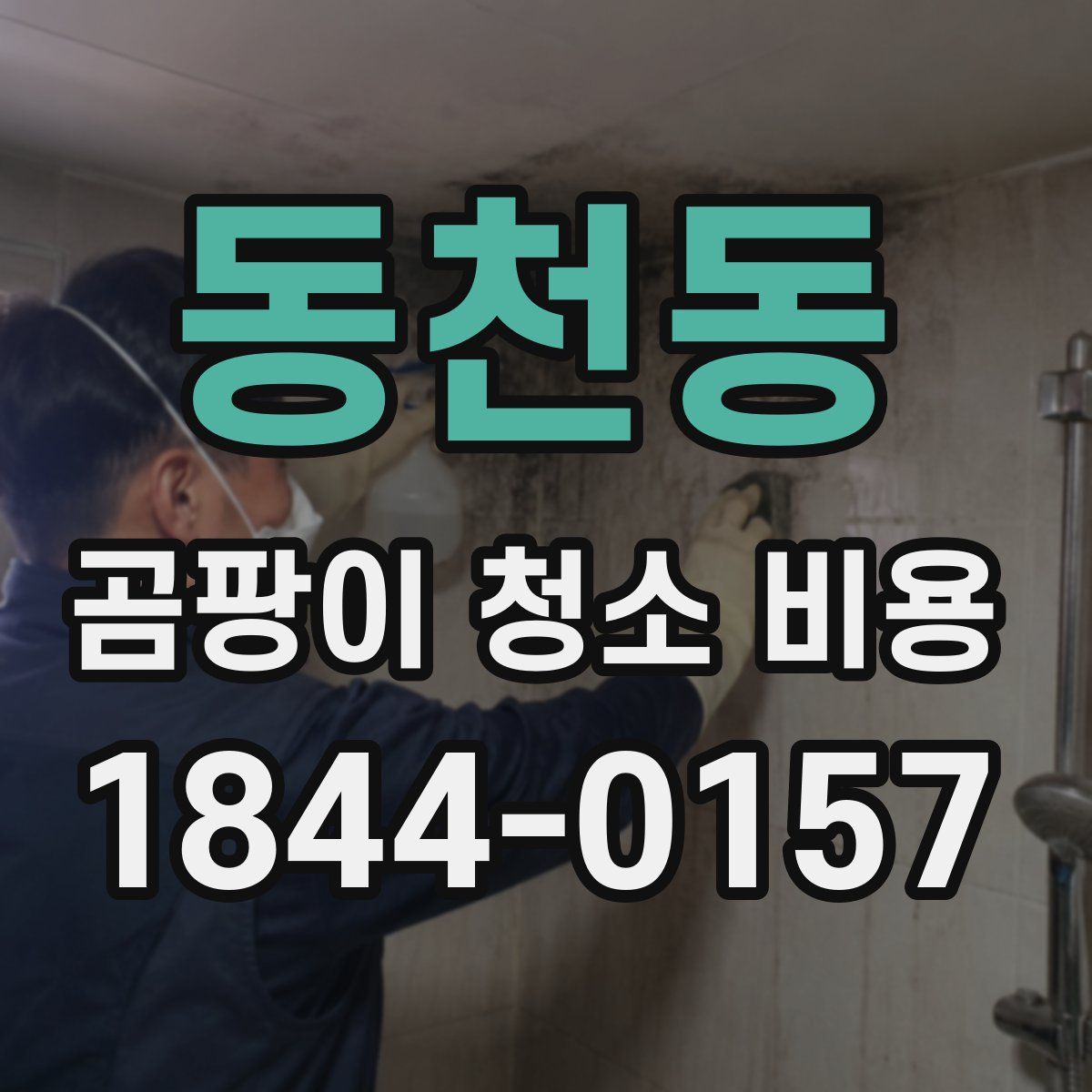 동천동 곰팡이 청소 비용