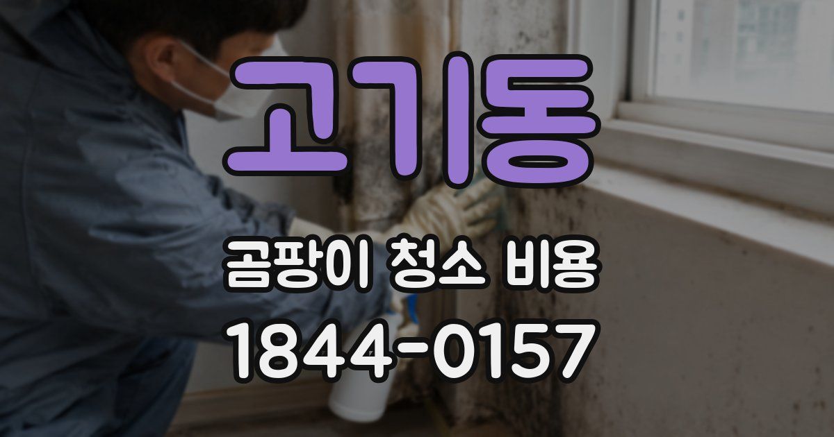 고기동 곰팡이 청소 비용