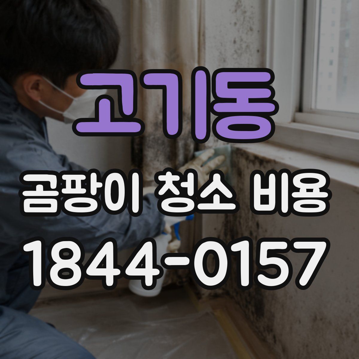고기동 곰팡이 청소 비용