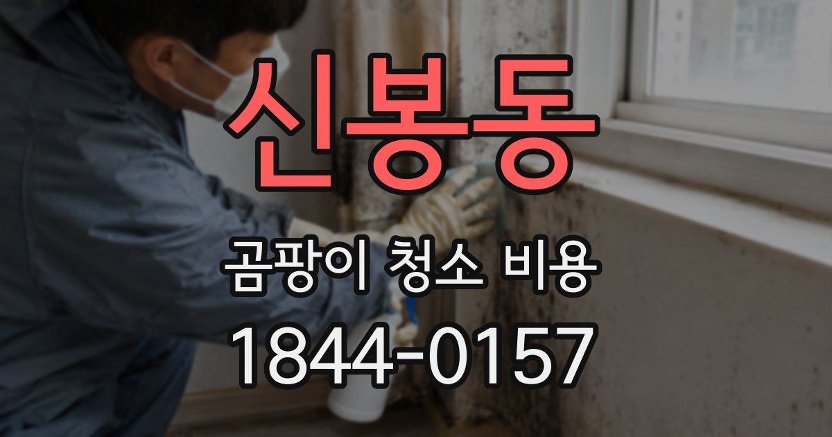 신봉동 곰팡이 청소 비용