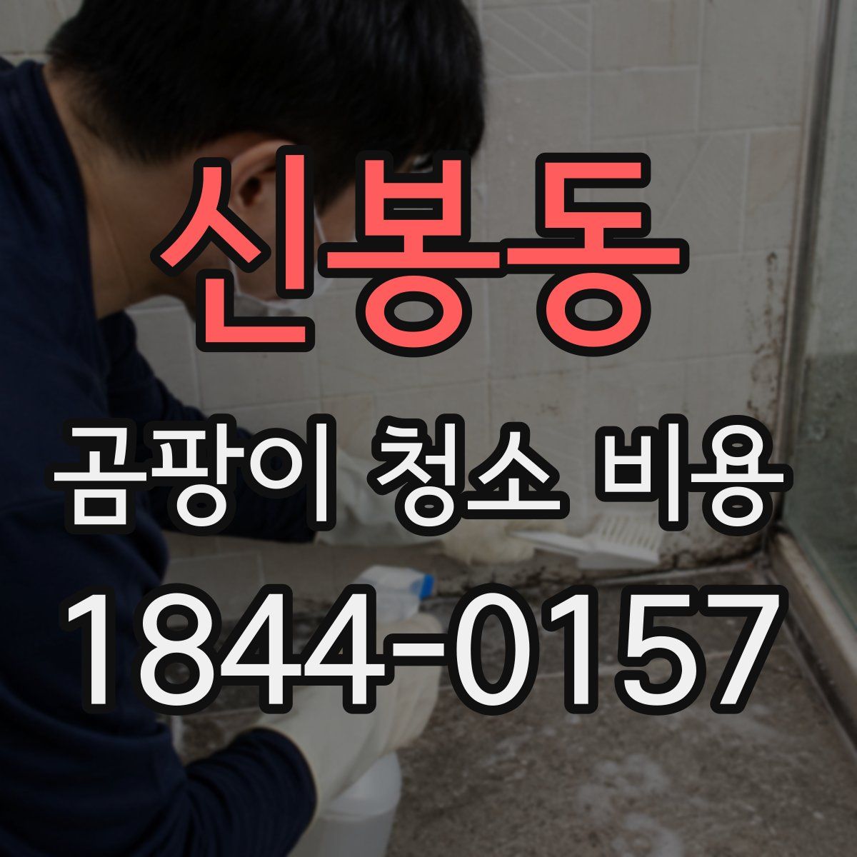 신봉동 곰팡이 청소 비용