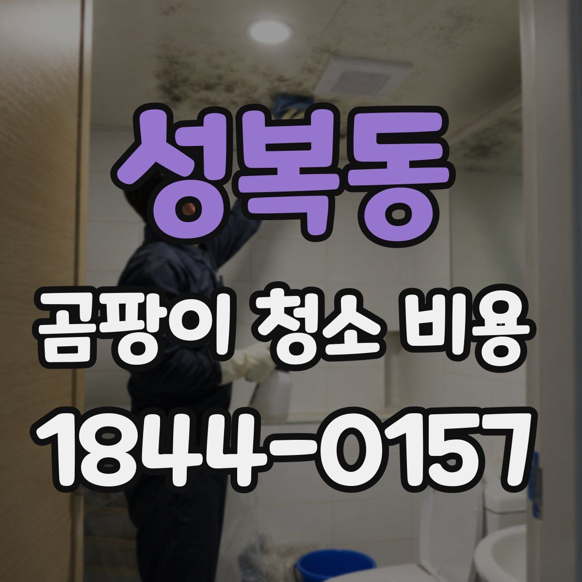 성복동 곰팡이 청소 비용