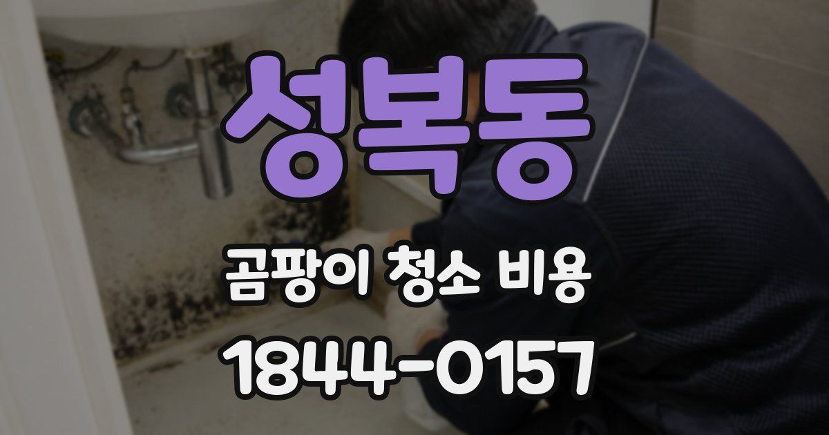 성복동 곰팡이 청소 비용