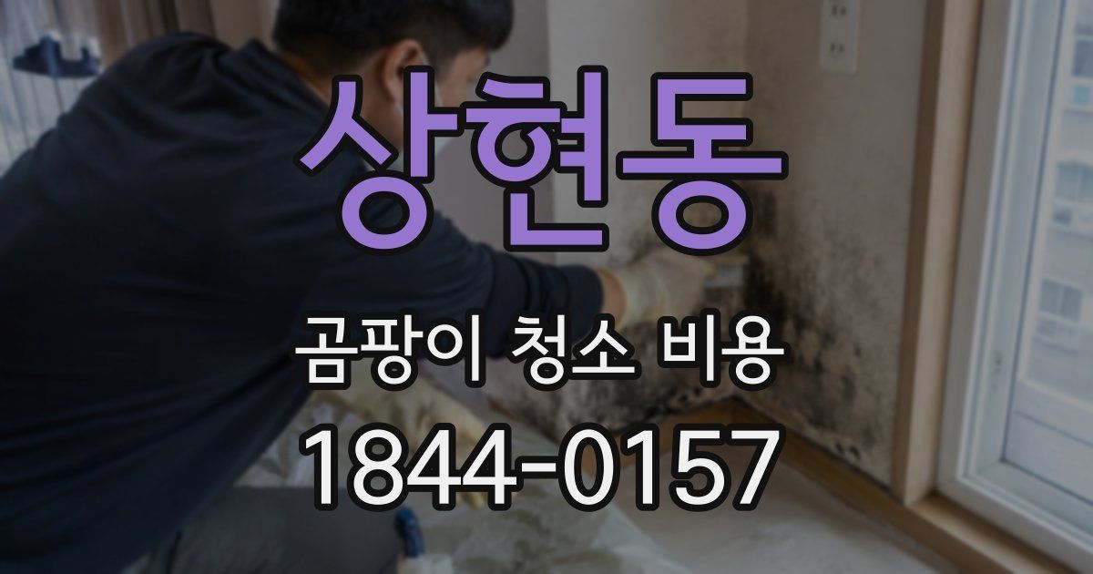 상현동 곰팡이 청소 비용