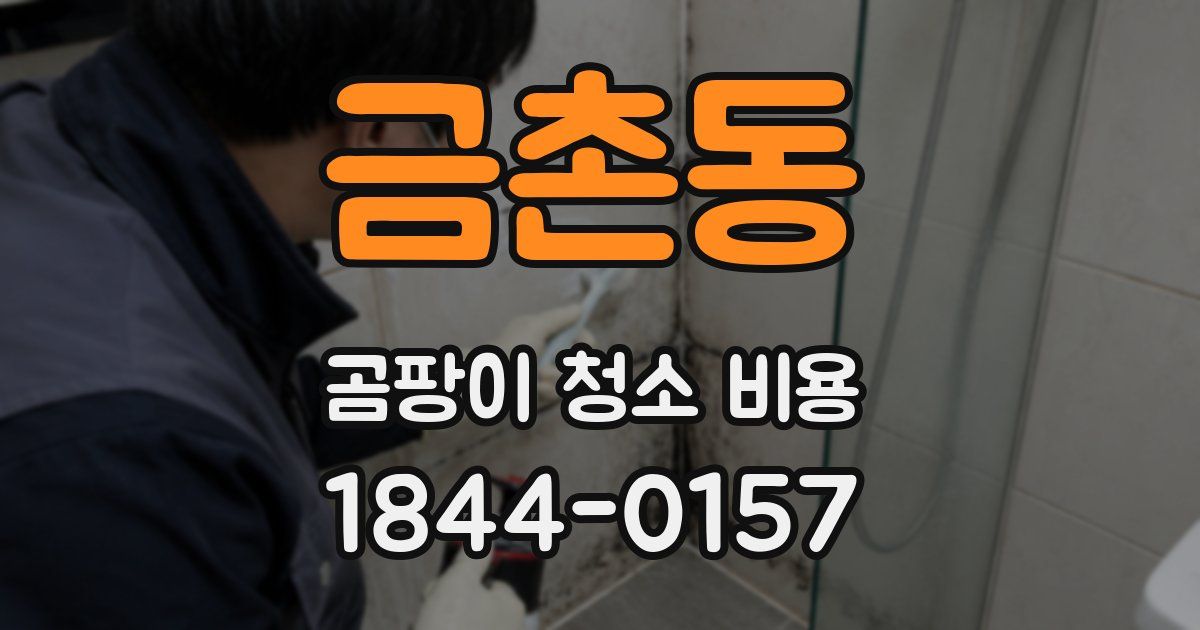 금촌동 곰팡이 청소 비용
