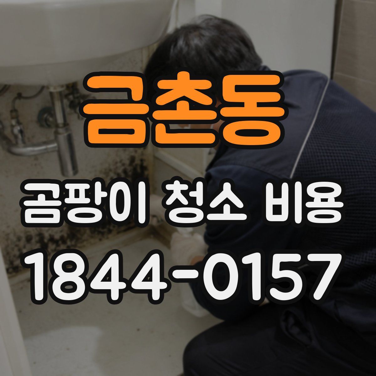 금촌동 곰팡이 청소 비용