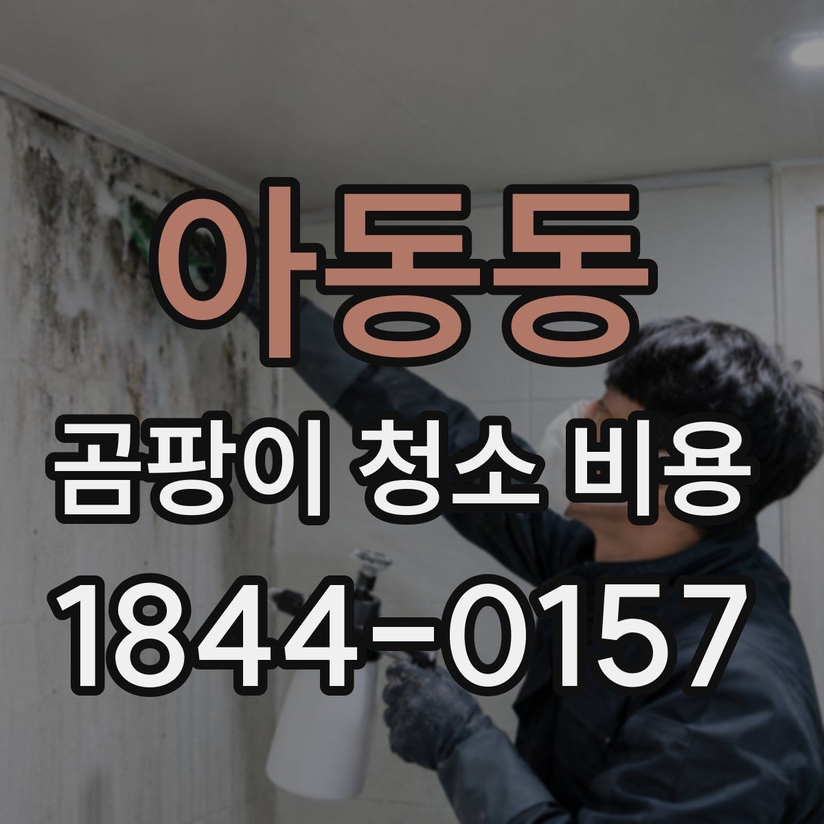 아동동 곰팡이 청소 비용