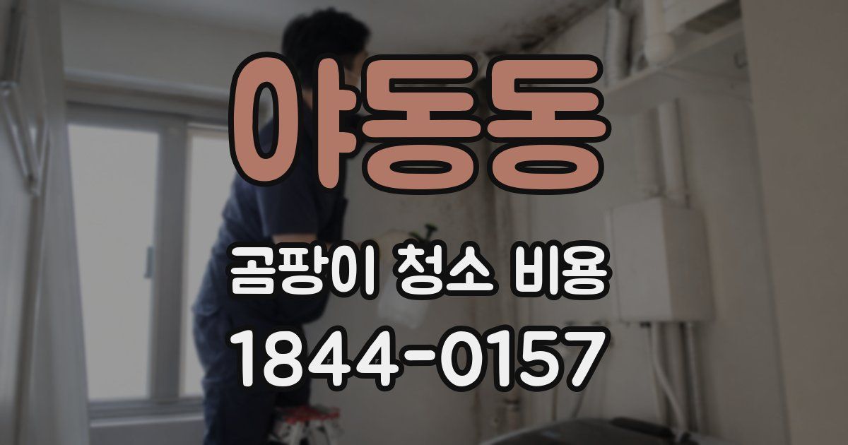 야동동 곰팡이 청소 비용
