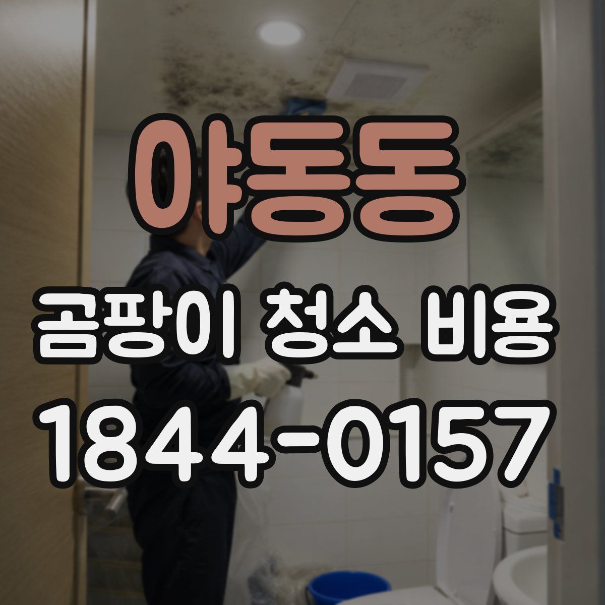 야동동 곰팡이 청소 비용