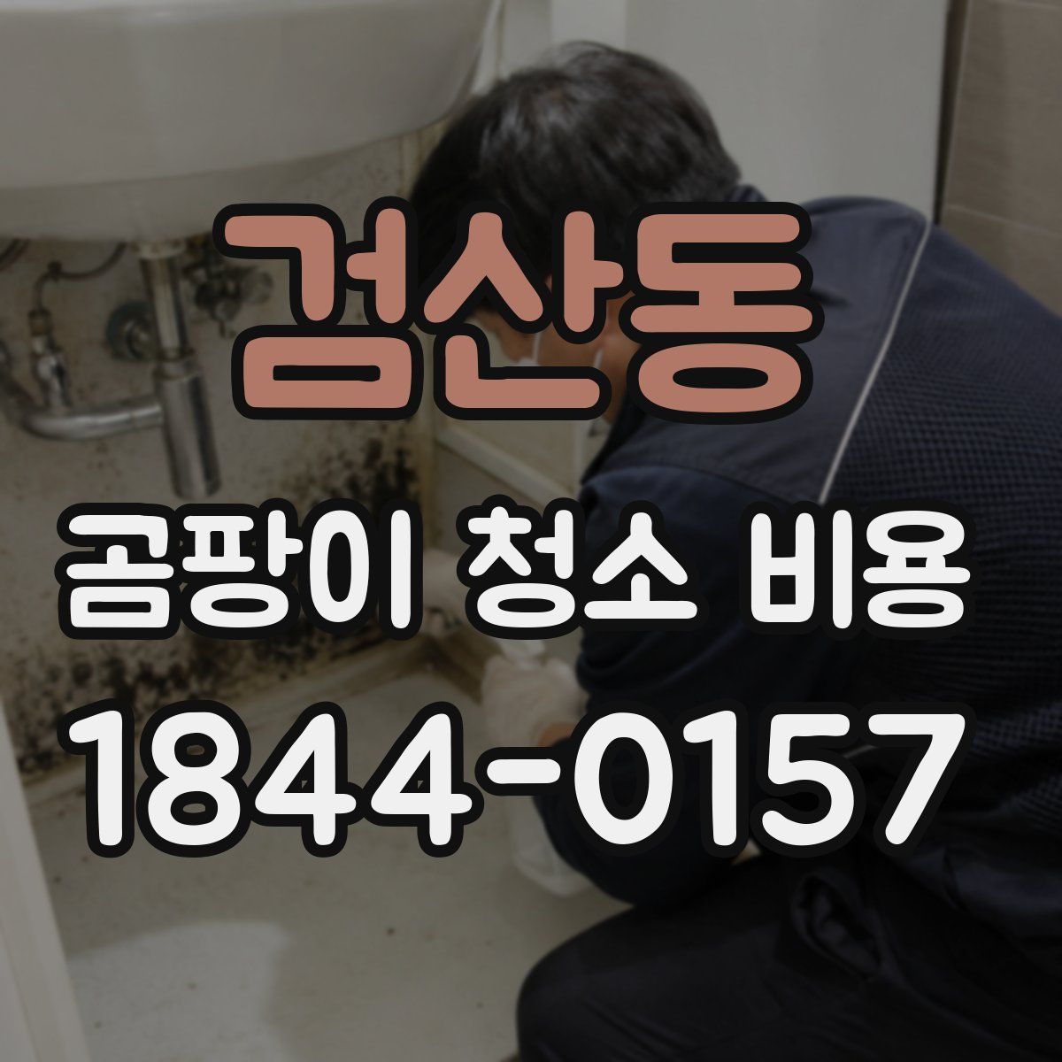 검산동 곰팡이 청소 비용