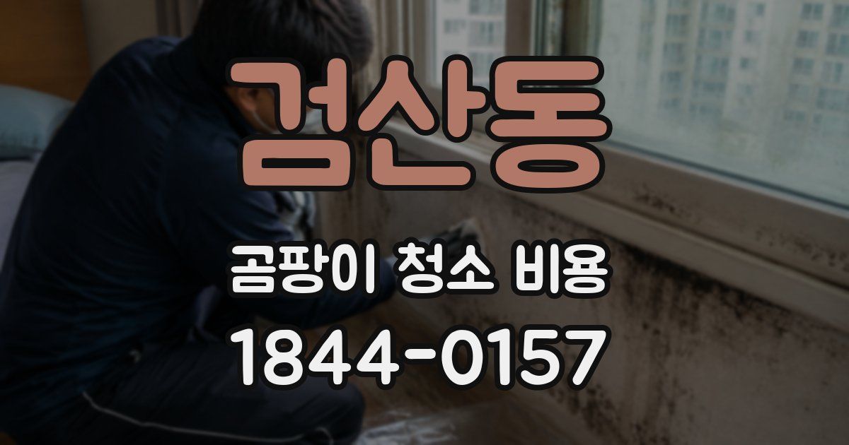 검산동 곰팡이 청소 비용