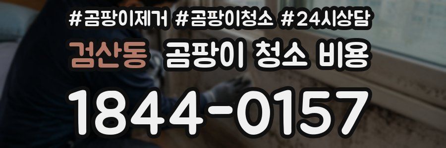 검산동 곰팡이 청소 비용