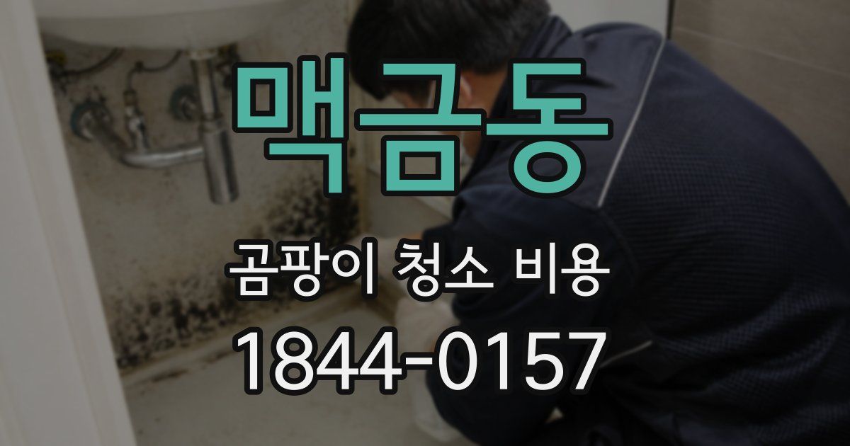 맥금동 곰팡이 청소 비용