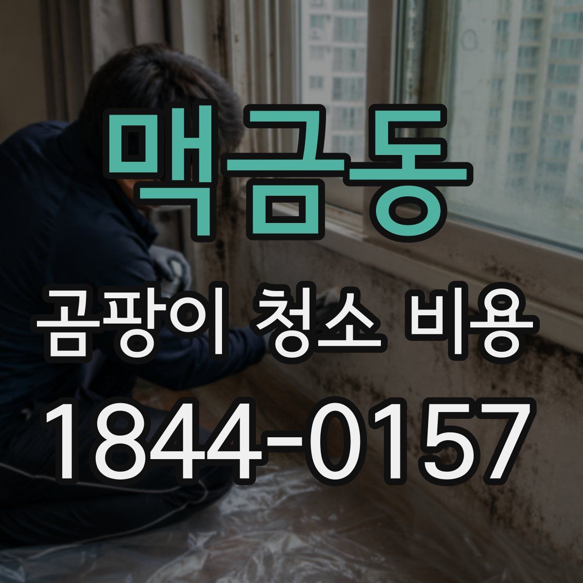 맥금동 곰팡이 청소 비용