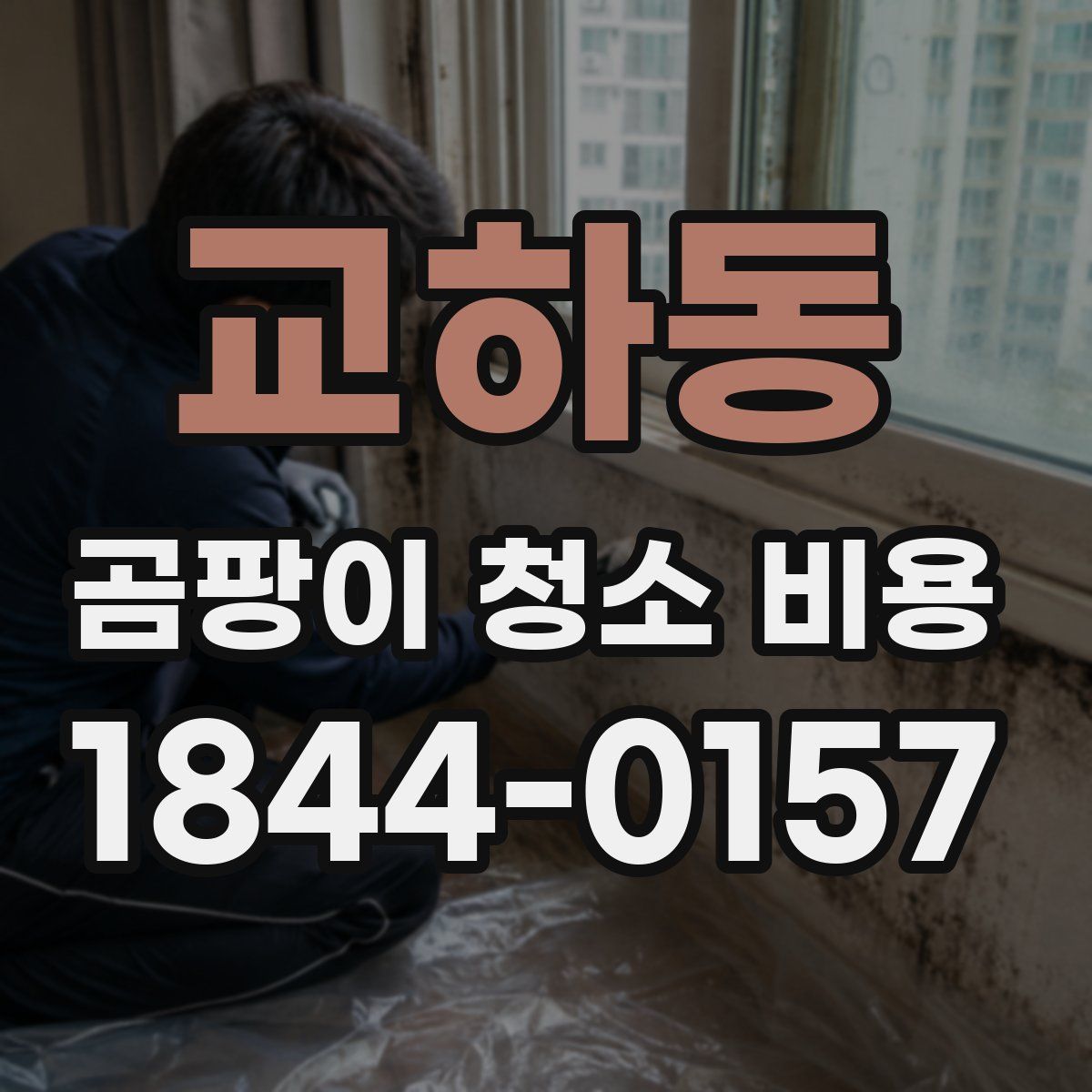 교하동 곰팡이 청소 비용