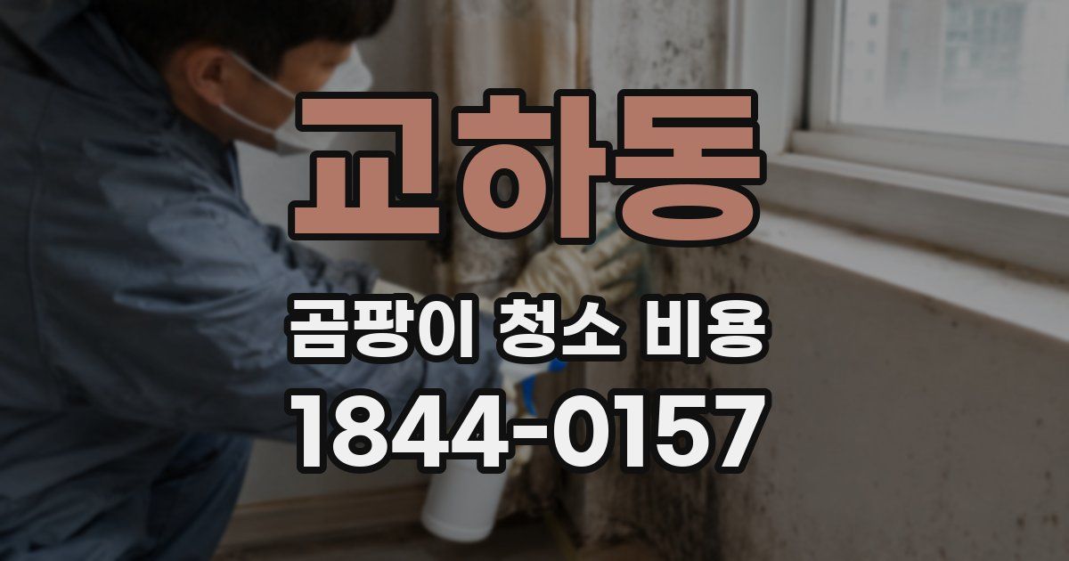 교하동 곰팡이 청소 비용