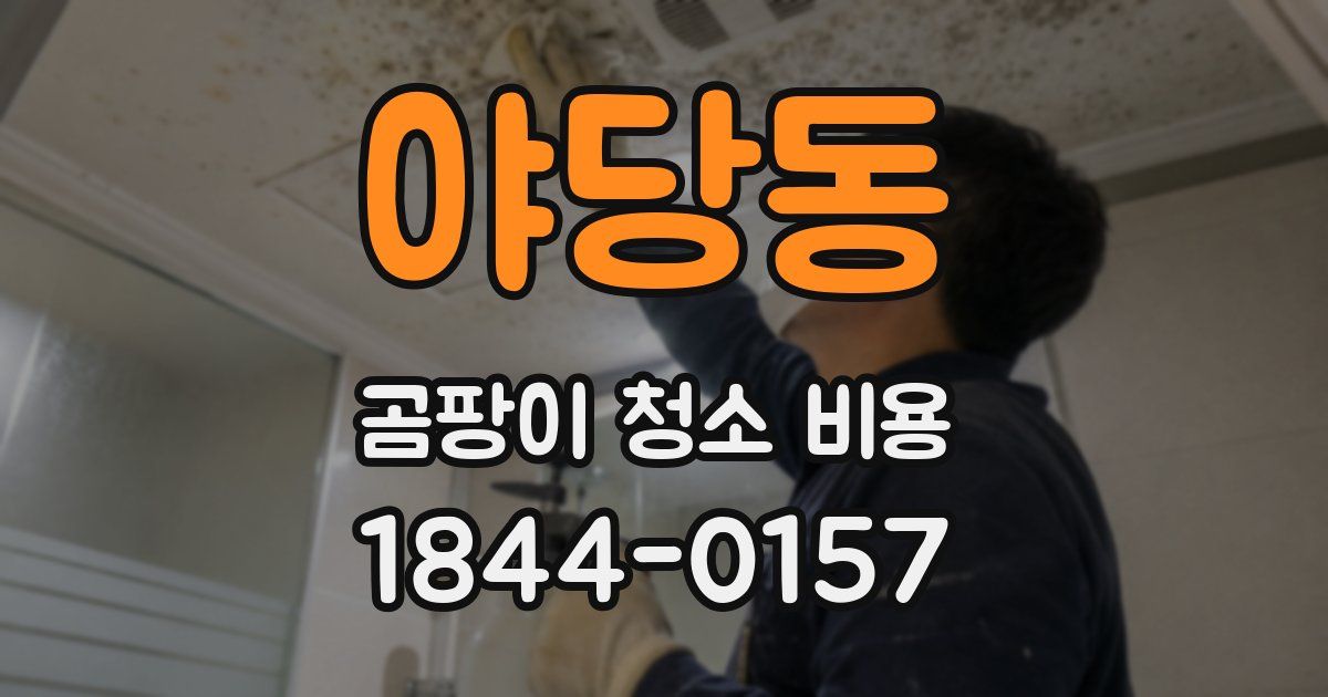 야당동 곰팡이 청소 비용