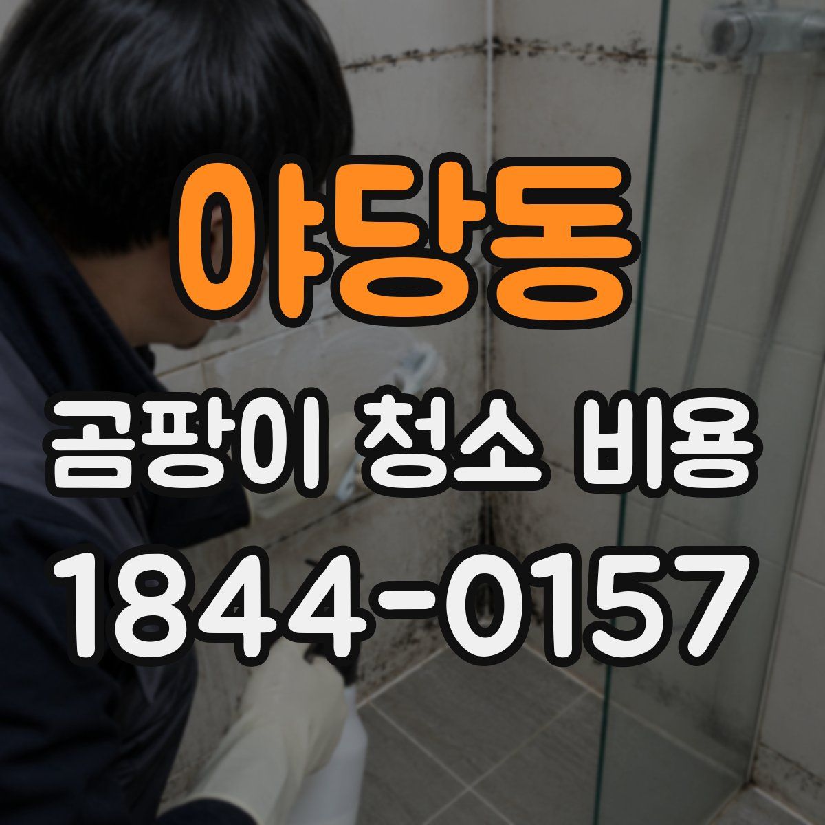 야당동 곰팡이 청소 비용