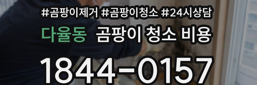 다율동 곰팡이 청소 비용