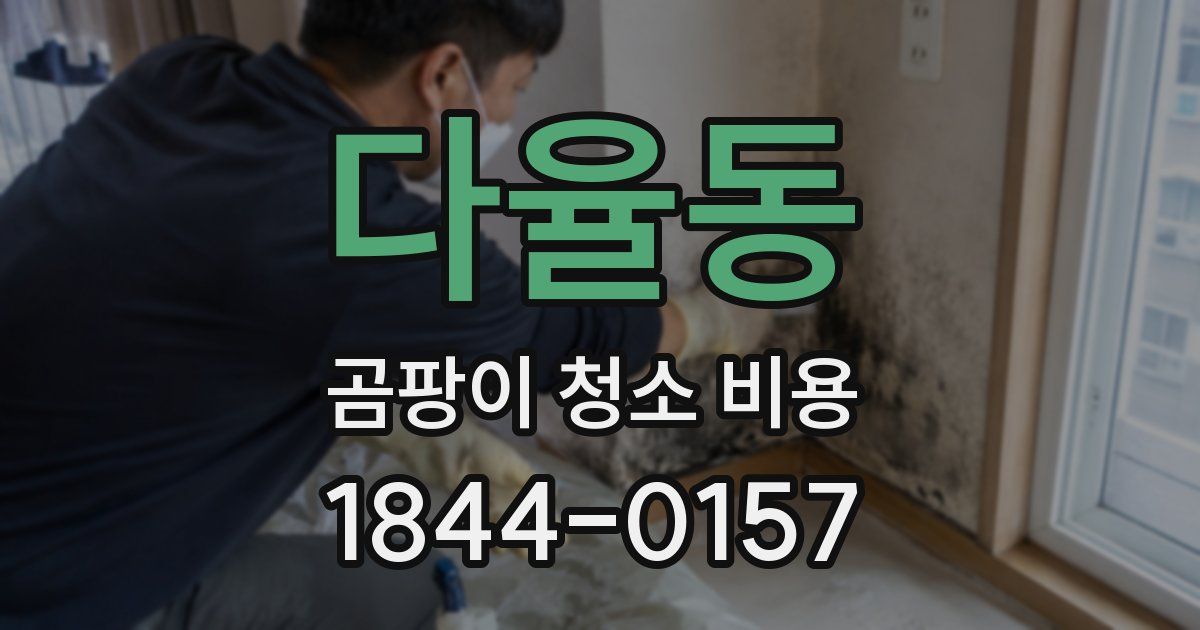 다율동 곰팡이 청소 비용