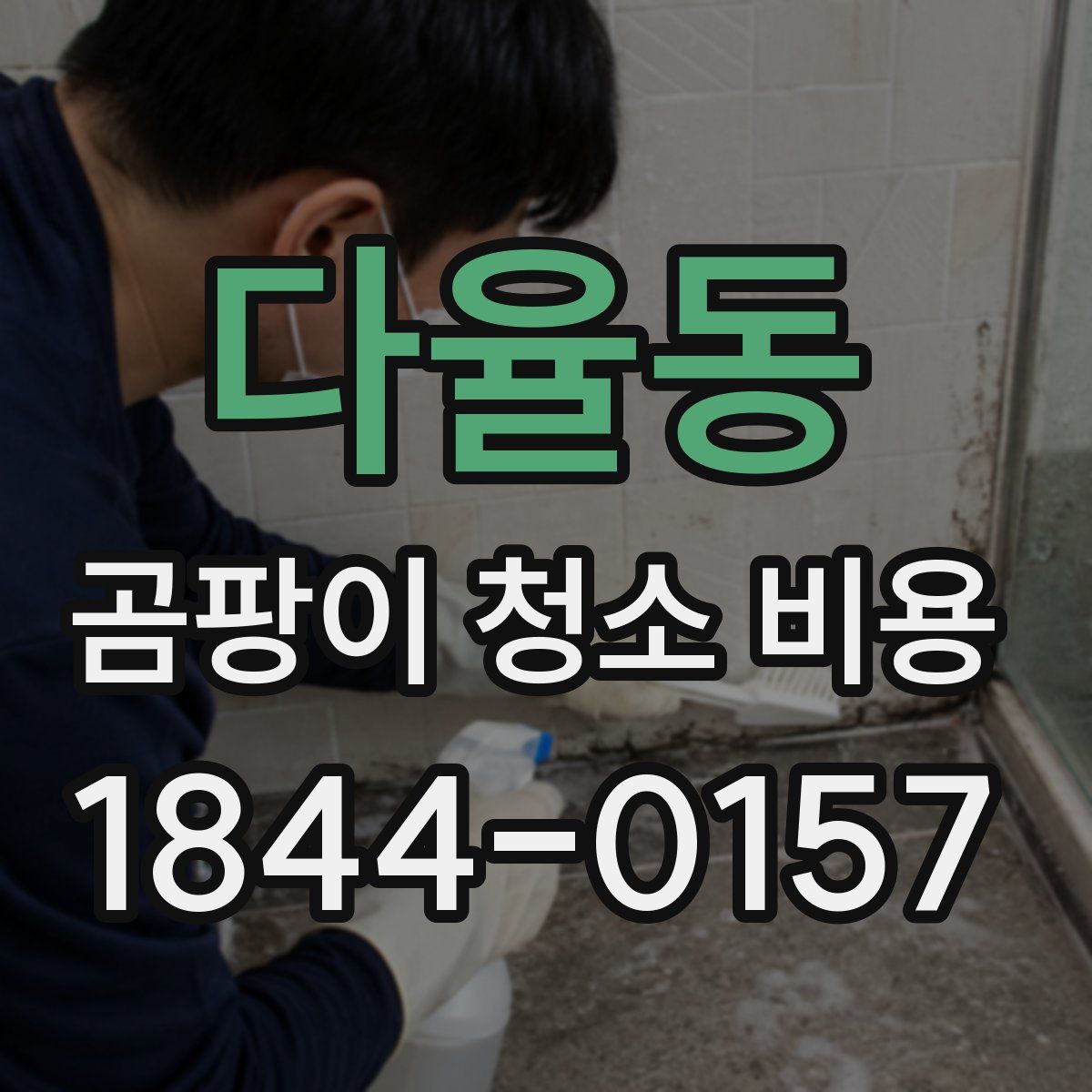 다율동 곰팡이 청소 비용