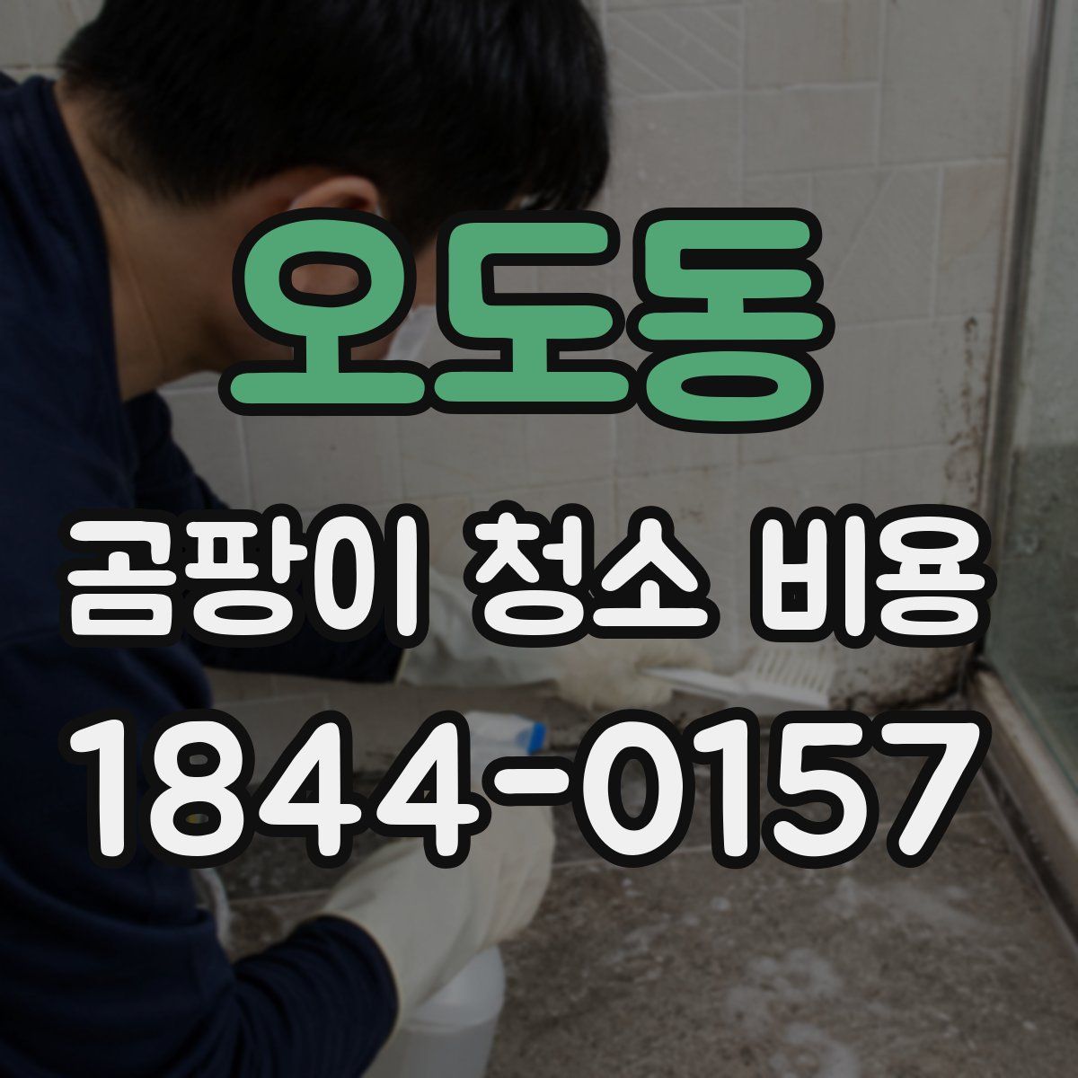 오도동 곰팡이 청소 비용